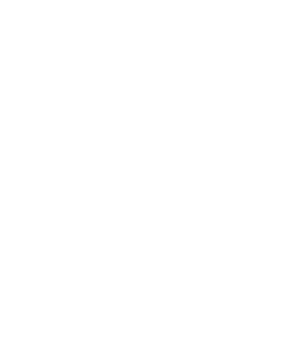Programa Viaje de Retorno