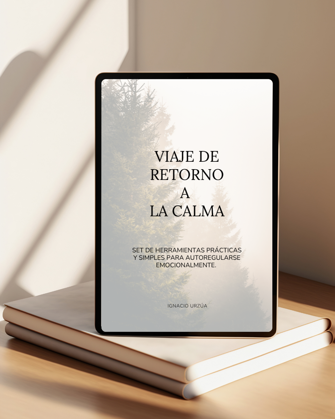 Viaje de Retorno a la Calma - Ignacio Urzúa